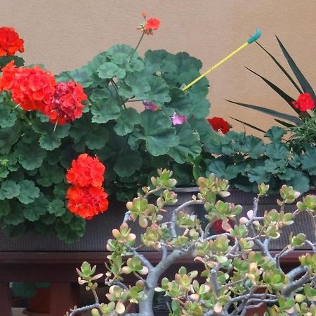 Pension K61 Sylke Und Michael Paffrath Gebesee Εξωτερικό φωτογραφία